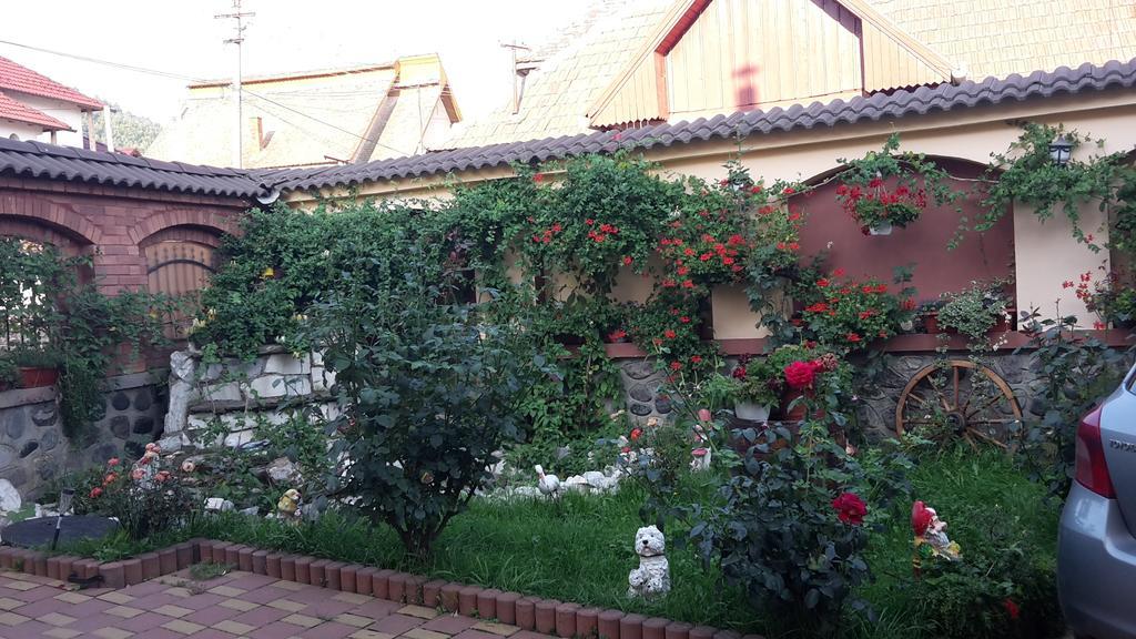 Pensiunea Beltina Răşinari 外观 照片