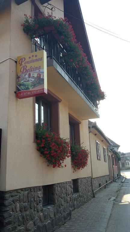 Pensiunea Beltina Răşinari 外观 照片